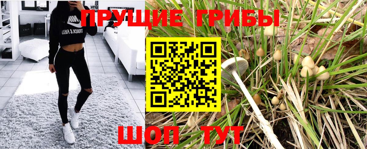 Псилоцибиновые грибы GOLDEN TEACHER Коркино