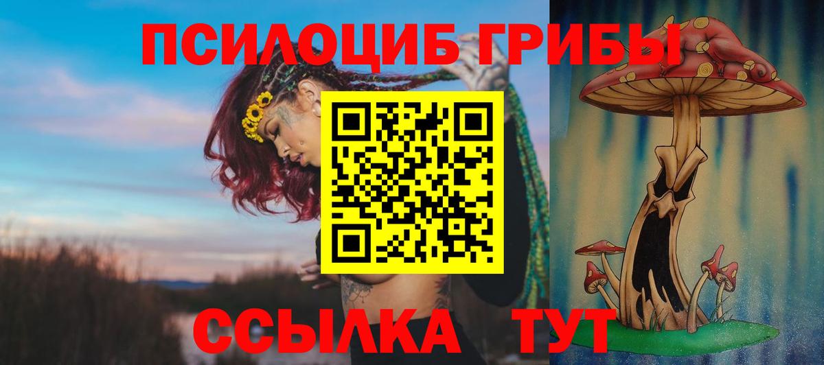 Псилоцибиновые грибы прущие грибы  Вход с VPN  Коркино  Псилоцибиновые грибы Psilocybe 